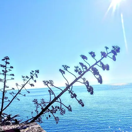 Znjanski Vidici Franka アパート